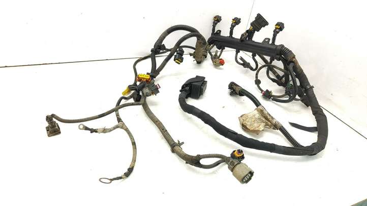 Fiat Doblo (2000 - 2009)  00552022490 Проводка двигателя