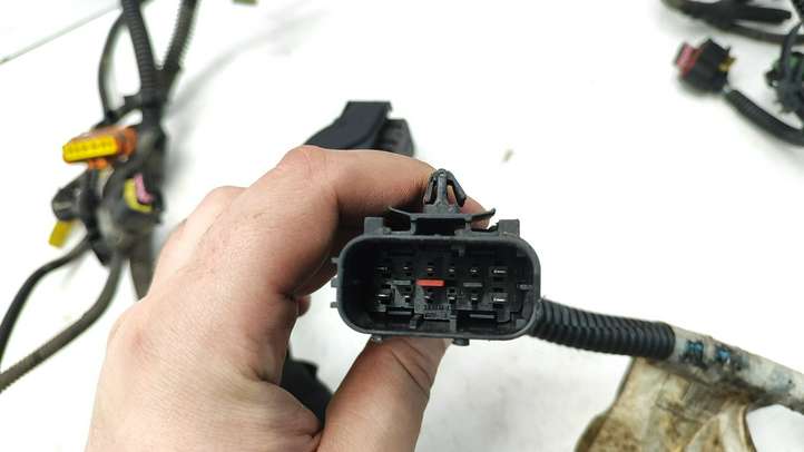 Fiat Doblo (2000 - 2009)  00552022490 Проводка двигателя