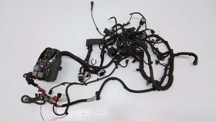 Volvo V70 (2007 - 2013)  30774272 Проводка двигателя