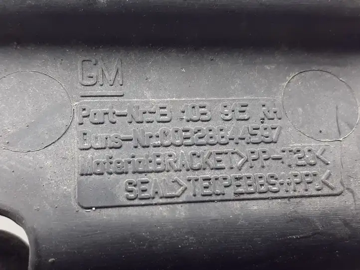 Opel Signum (2002 - 2008) 13103915 Дефлектор воздуха — фото 3
