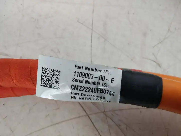 Tesla Model Y (2019 - 2024) 110900300E Прочая электропроводка — фото 4