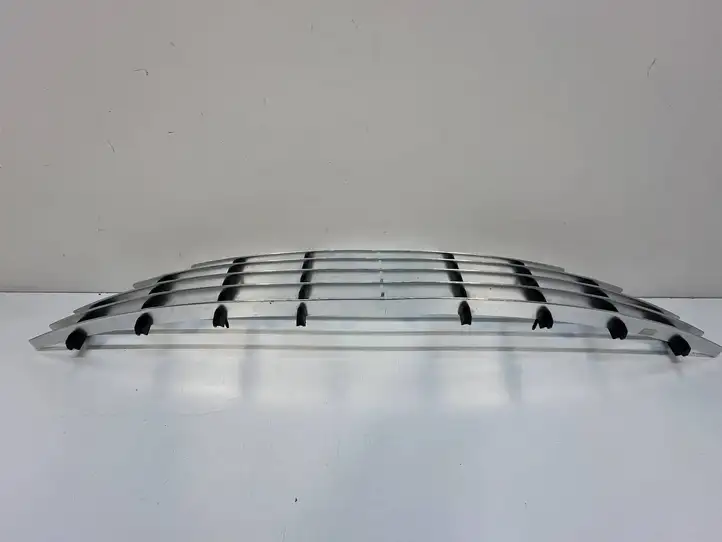 Aston Martin Virage (2011 - 2012) Передняя решетка — фото 7