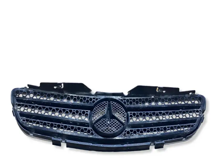 Mercedes-Benz SL R230 (2001 - 2012) Передняя решетка — фото 6