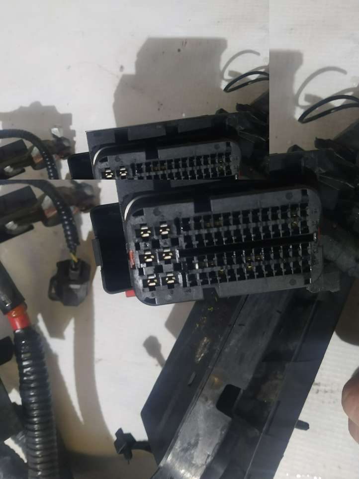 Ford Fiesta (2013 - 2017)  F2BT12A522SCB Проводка двигателя