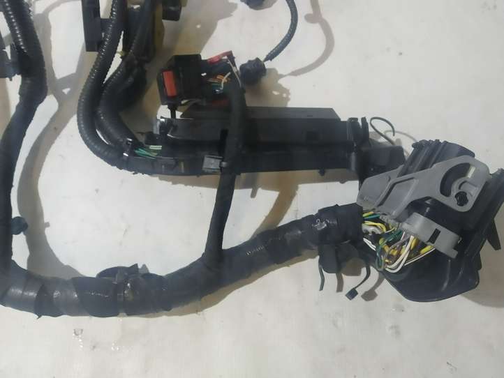 Ford Fiesta (2013 - 2017)  F2BT12A522SCB Проводка двигателя