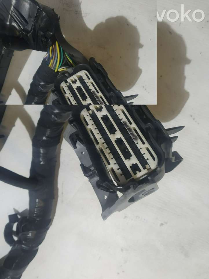 Ford Fiesta (2013 - 2017)  F2BT12A522SCB Проводка двигателя