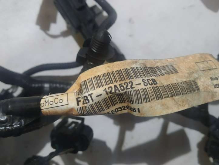 Ford Fiesta (2013 - 2017)  F2BT12A522SCB Проводка двигателя