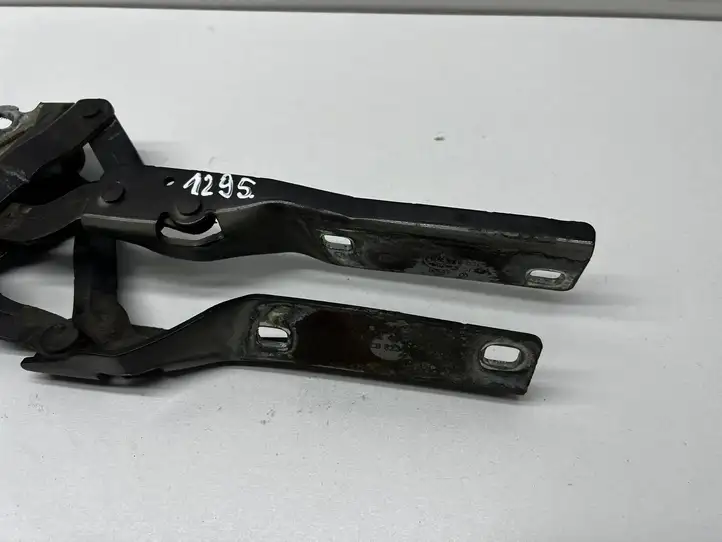 Volkswagen PASSAT B6 (2005 - 2010)  3C0823302E Петля (петли) капота