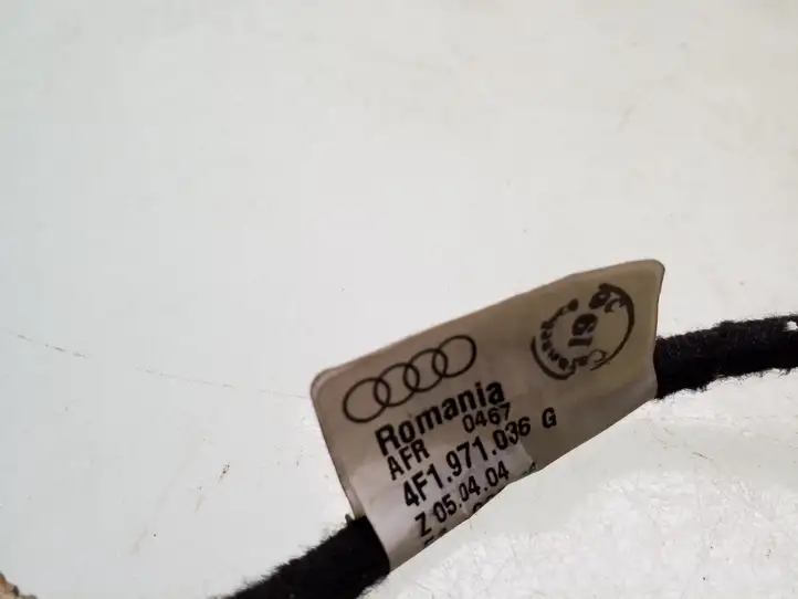 Audi A6 S6 C6 4F (2004 - 2008) 4F1971036G Прочая электропроводка — фото 3