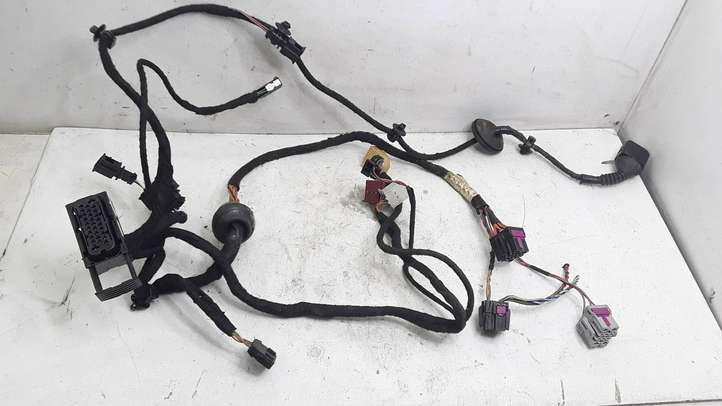 Volkswagen PASSAT B5.5 (2001 - 2005)  3B0971120BD Проводка передних дверей