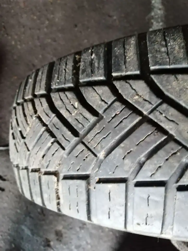 Ford Transit (2006 - 2013) 22575R16C Летняя шина C R16 — фото 1