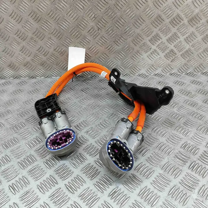 BMW iX (2021 - ) 5A1C8E7 Прочая электропроводка — фото 2