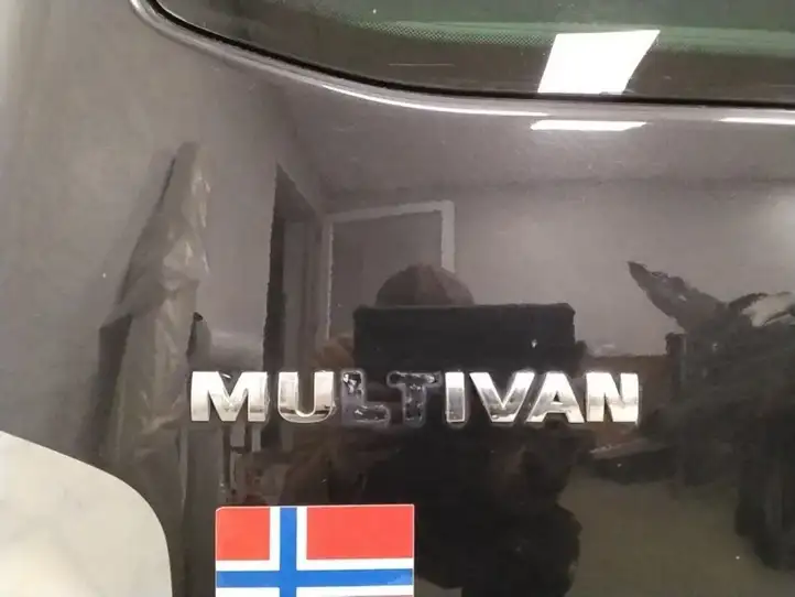 Volkswagen Multivan T5 (2003 - 2015) Крышка багажника — фото 9