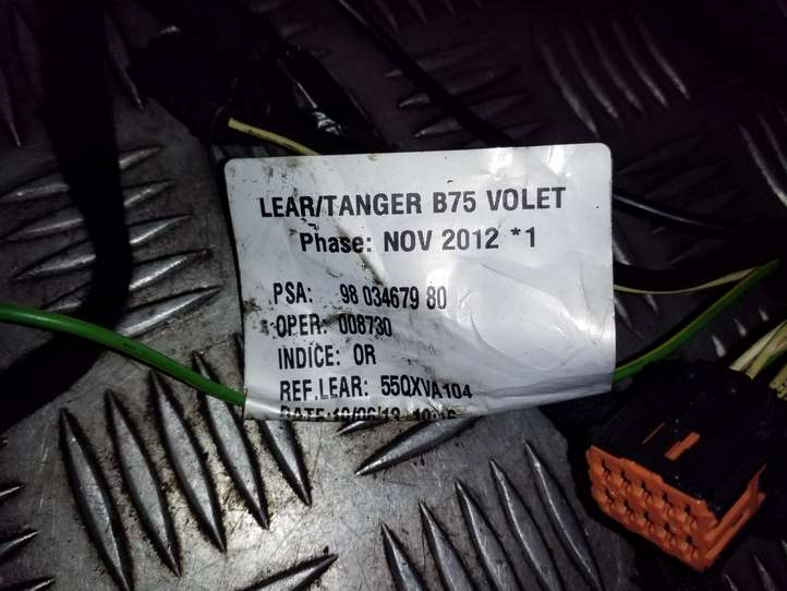 Citroen DS4 (2010 - 2016)  9803467980 Проводка крышки багажника