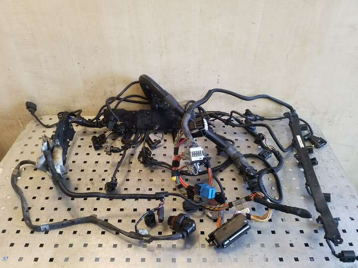 BMW X5 E70 (2006 - 2013)  780608101 Проводка двигателя