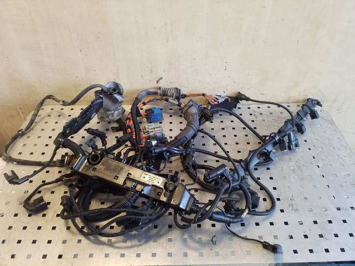 BMW X5 E70 (2006 - 2013)  780608101 Проводка двигателя
