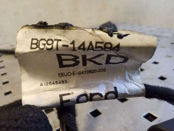 Ford Mondeo MK IV (2007 - 2014)  BG9T14A584BKD Проводка передних дверей