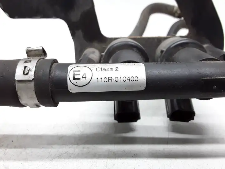 Volvo V70 (2013 - 2016) 110R010400 Жиклер ГБО — фото 4