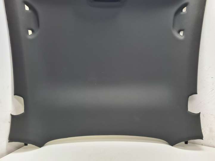 Volkswagen Beetle A5 (2011 - 2018)  5C5867501 Потолок