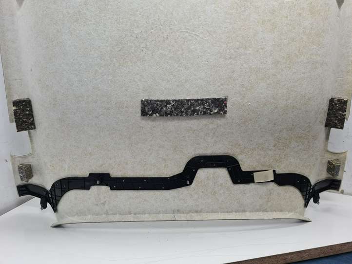 Volkswagen Beetle A5 (2011 - 2018)  5C5867501 Потолок