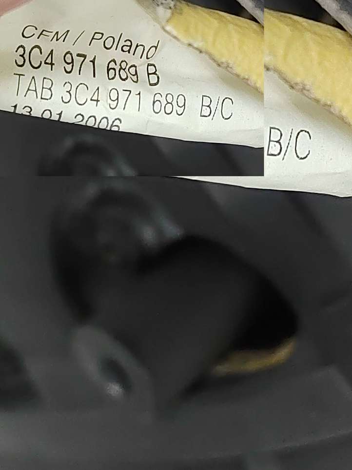 Volkswagen PASSAT B6 (2005 - 2010)  3c9867212eg Обшивка задней двери