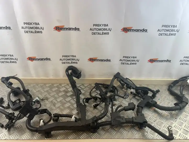 Toyota RAV 4 (XA50) (2018 - ) Прочая электропроводка — фото 1