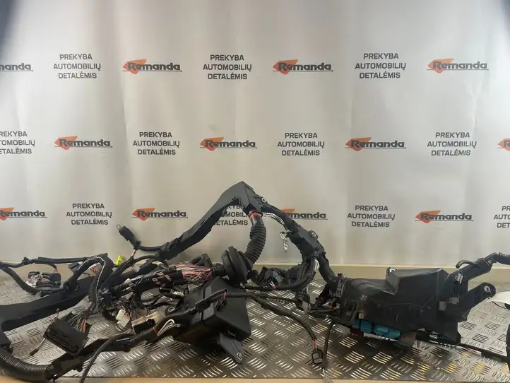 Toyota RAV 4 (XA50) (2018 - ) 8218442A70 Прочая электропроводка — фото 1