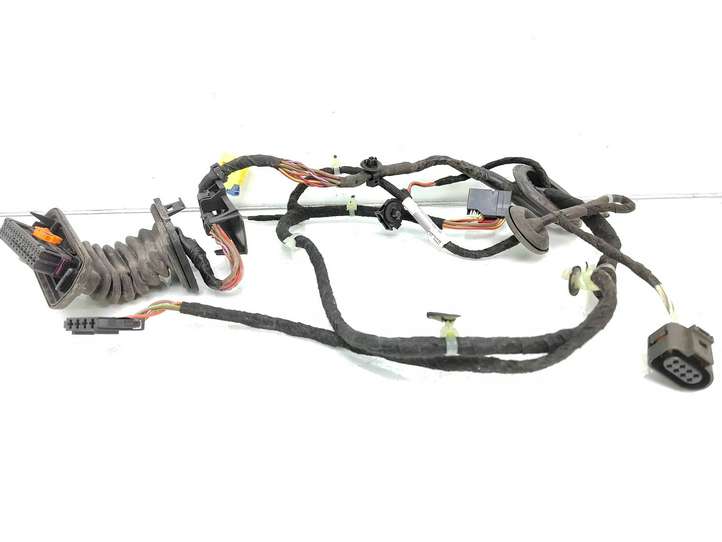 Volkswagen PASSAT B6 (2005 - 2010)  3C1971121CJ Проводка передних дверей
