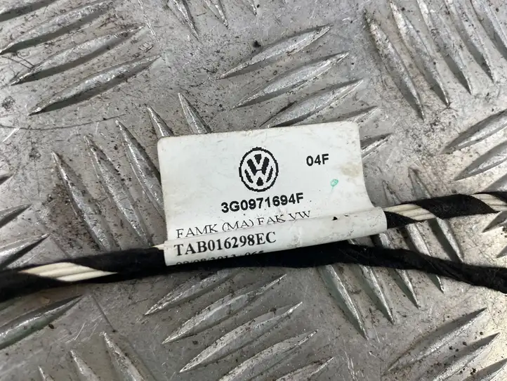 Volkswagen PASSAT B8 (2015 - ) 3G0971694F Проводка задней двери — фото 3