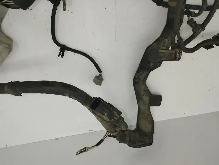 Toyota Corolla Verso AR10 (2004 - 2009) 9008087019 Прочая электропроводка — фото 2