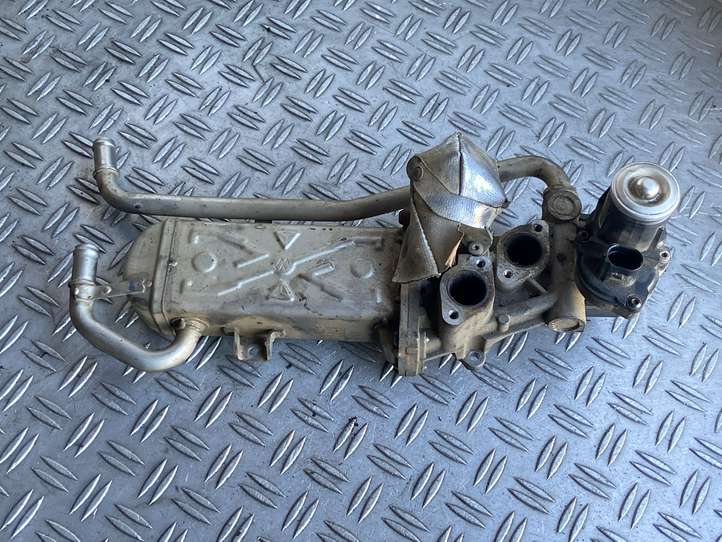 Seat Ibiza IV (6J,6P) (2008 - 2017)  0280751016 Клапан EGR