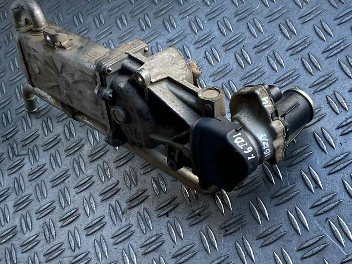 Seat Ibiza IV (6J,6P) (2008 - 2017)  0280751016 Клапан EGR