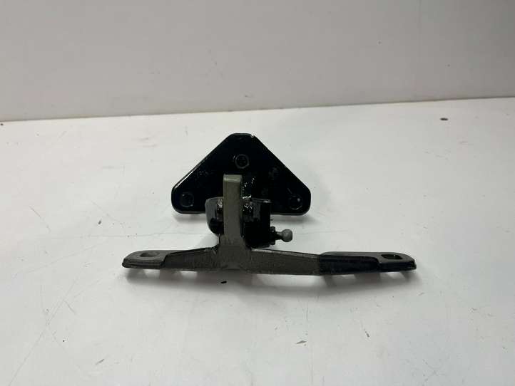 BMW 5 F10 F11 (2009 - 2016)  7463530 Петля (петли) задней крышки