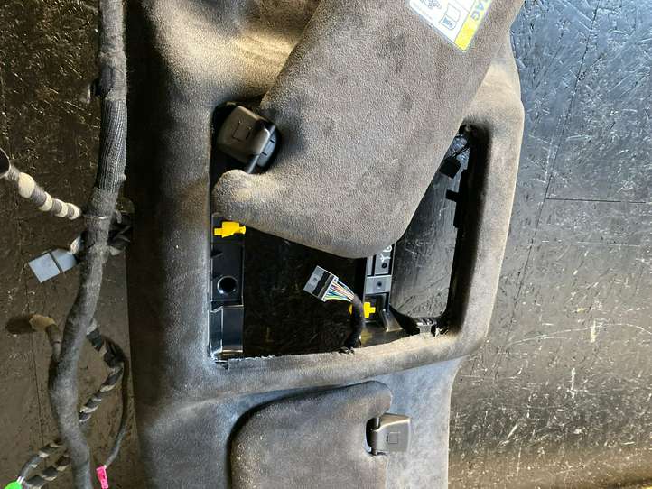 Jaguar I-Pace (2018 - )  587005080001 Потолок