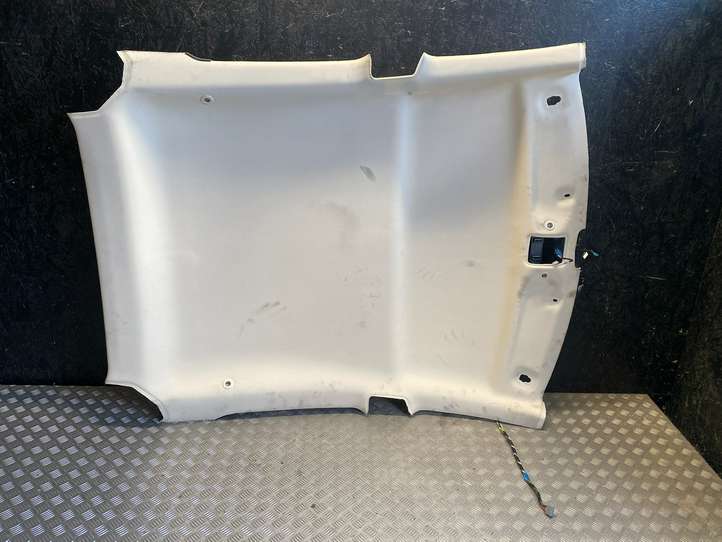 Tesla Model S (2012 - 2016)  104593500C Потолок
