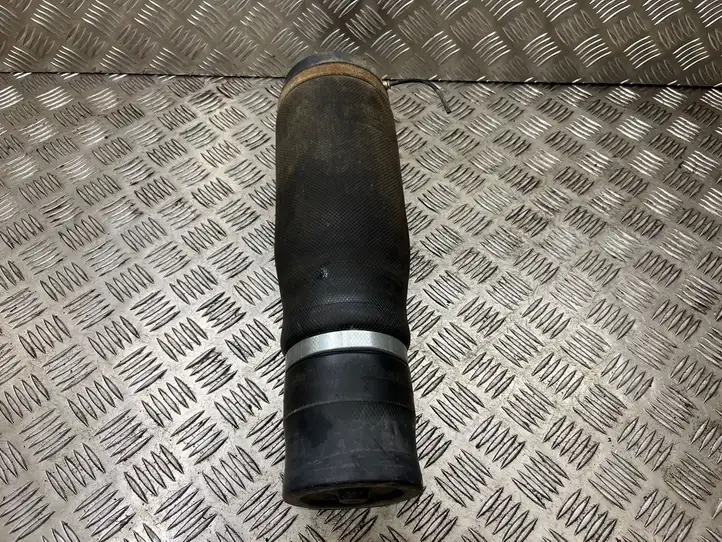 Audi A6 (2004 - 2008)   Задняя надувная подушка