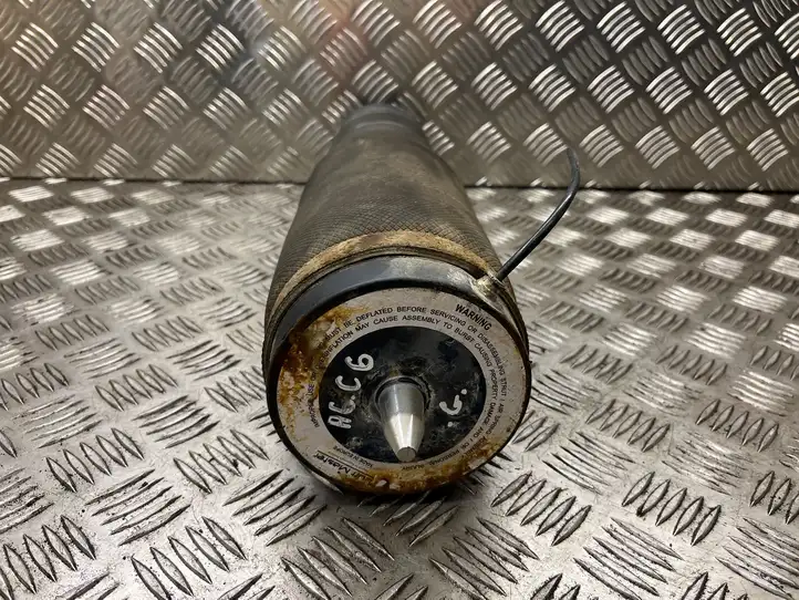 Audi A6 (2004 - 2008)   Задняя надувная подушка