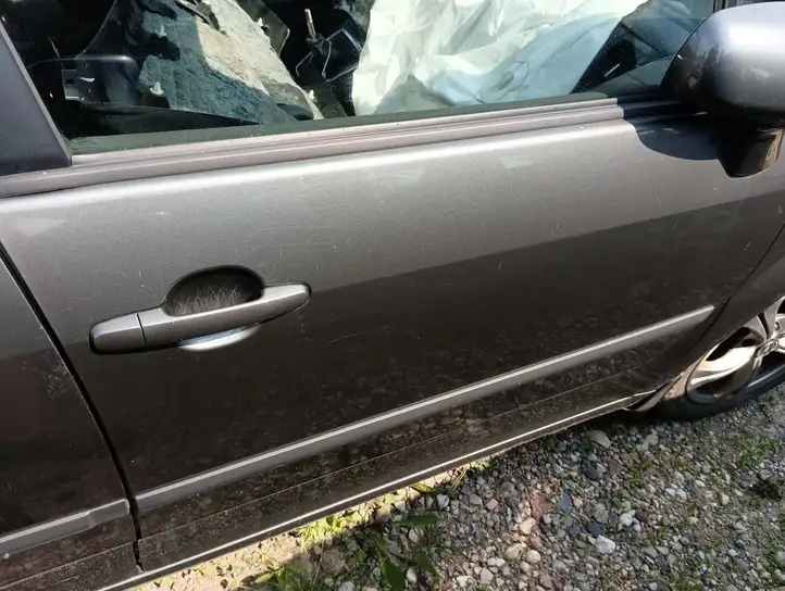 Toyota Corolla Verso AR10 (2004 - 2009) Дверь — фото 1
