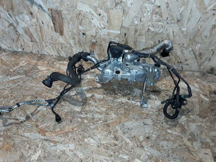 Citroen C3 Picasso (2010 - 2017)  9803250080 Клапан EGR