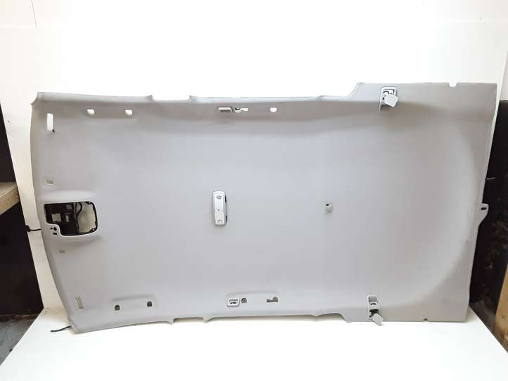 Volvo V70 (2007 - 2013)  39807790 Потолок