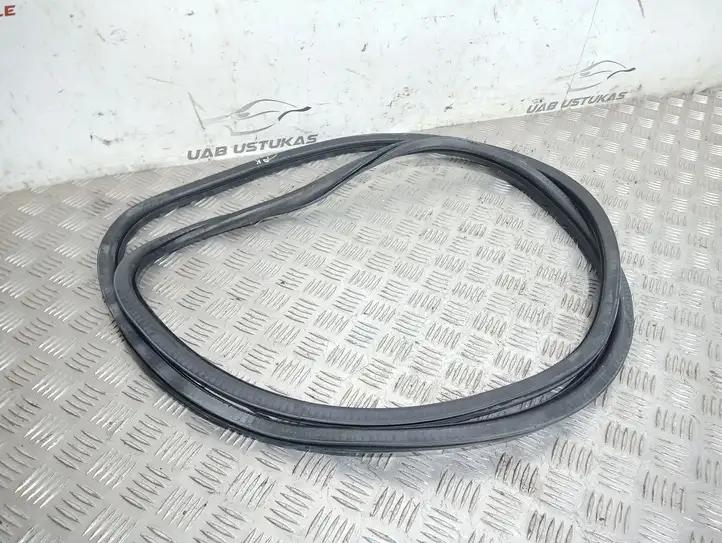 Porsche Cayenne (9PA) (2002 - 2010) 7L0867365A Уплотнитель передней двери (кузов) — фото 1
