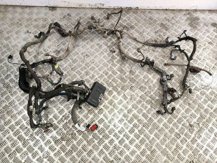 Citroen Berlingo (2003 - 2007)  9663562580 Проводка двигателя
