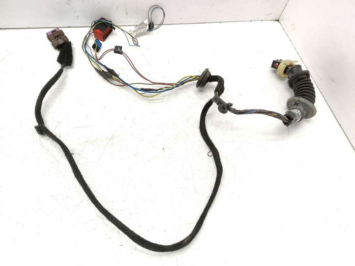 Peugeot 307 (2001 - 2005)  9642622880 Проводка передних дверей