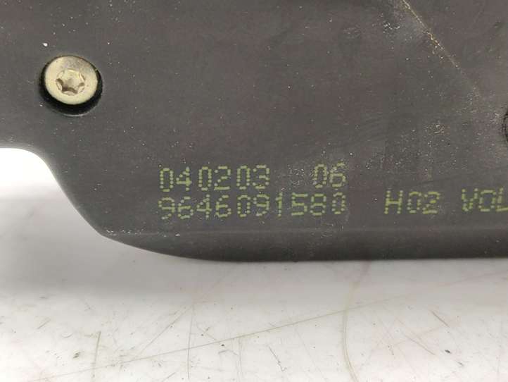 Peugeot 307 (2001 - 2005)  9646091580 Замок задней крышки