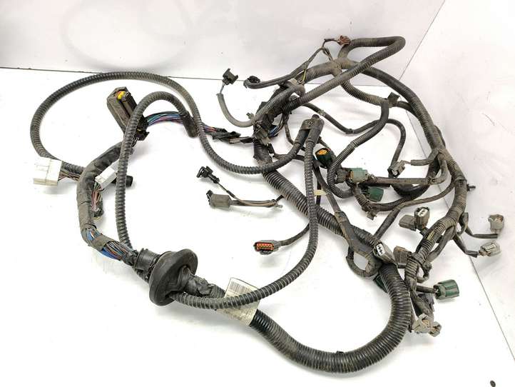 Nissan Almera Tino (2000 - 2006)  24011BU801 Проводка двигателя