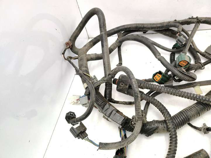 Nissan Almera Tino (2000 - 2006)  24011BU801 Проводка двигателя