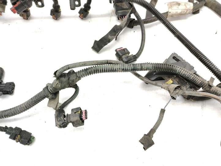 Fiat Doblo (2000 - 2009)  00552022490 Проводка двигателя