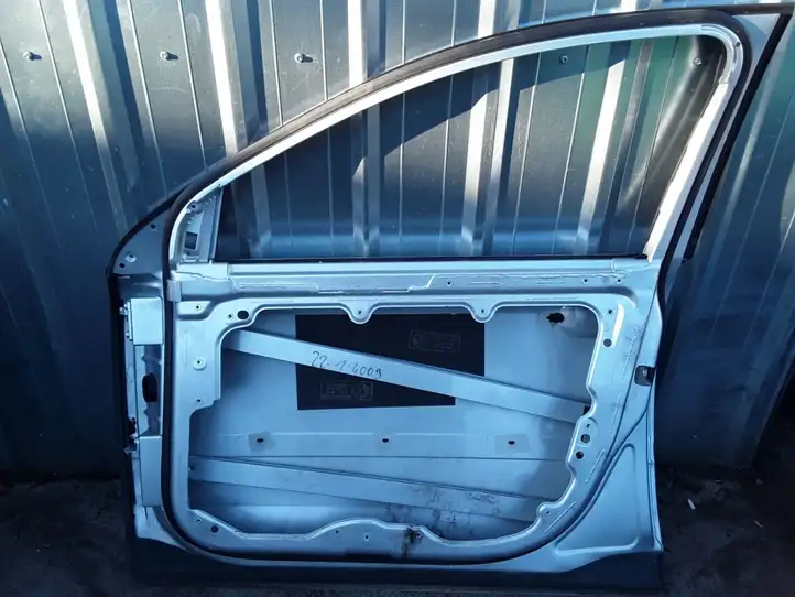 Volkswagen Phaeton (2002 - 2008) Дверь — фото 2