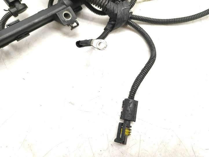 Fiat Bravo (2007 - 2014)  00552072460 Проводка двигателя