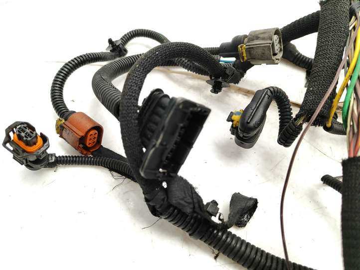 Fiat Bravo (2007 - 2014)  00552072460 Проводка двигателя